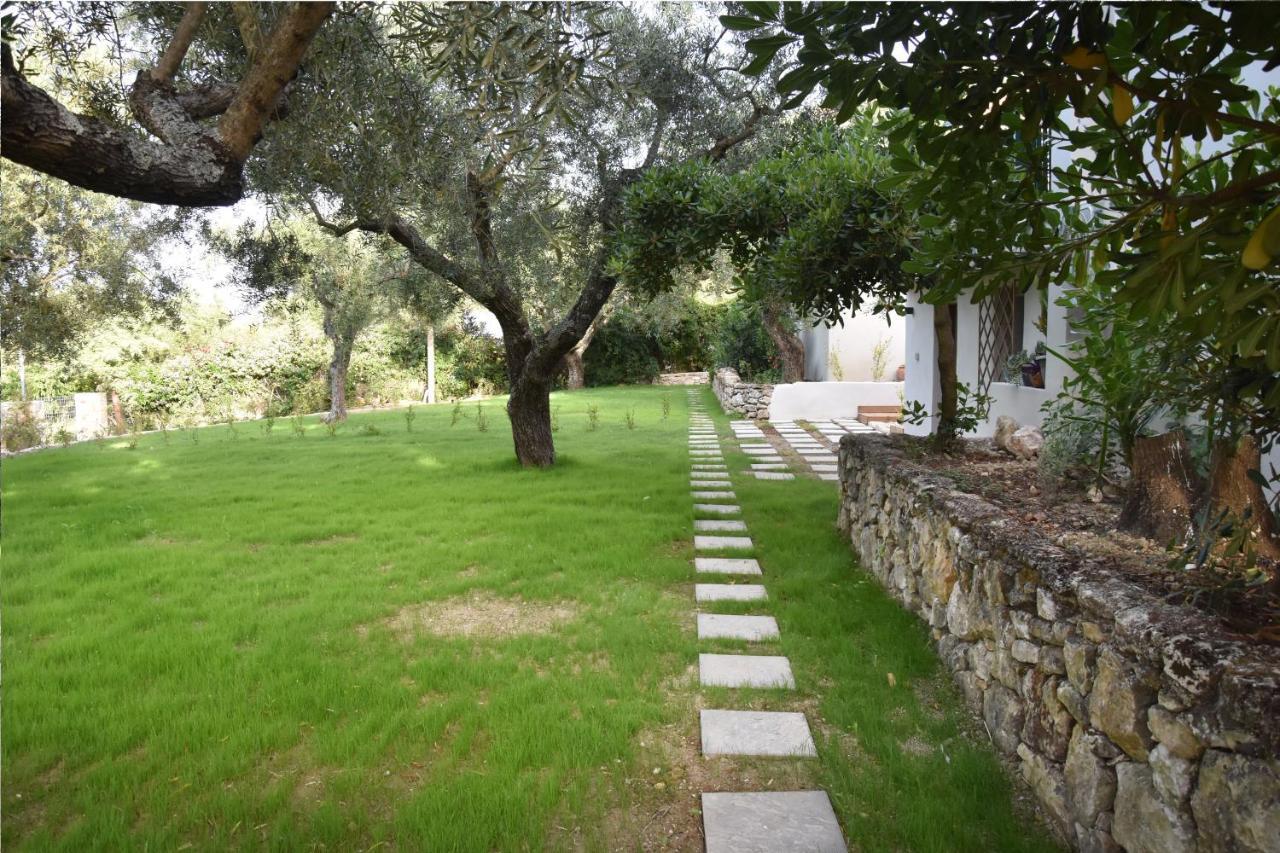 קרי Olivella Villas By Vatos מראה חיצוני תמונה